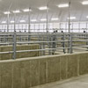 University of Guelph Beef Research Barn, Elora