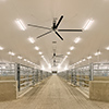 Agricultural Project Interior